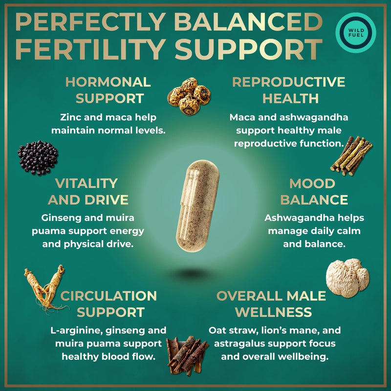 Fertility Supplements For Men Prenatal Vitamin - Maca Root, Ashwagandha, Zinc, Plus Naturals - Conception for Him Men Fertility Vitamins and Male Fertility Support Supplements - 120 Caps for 2 Months Male Fertility Complex