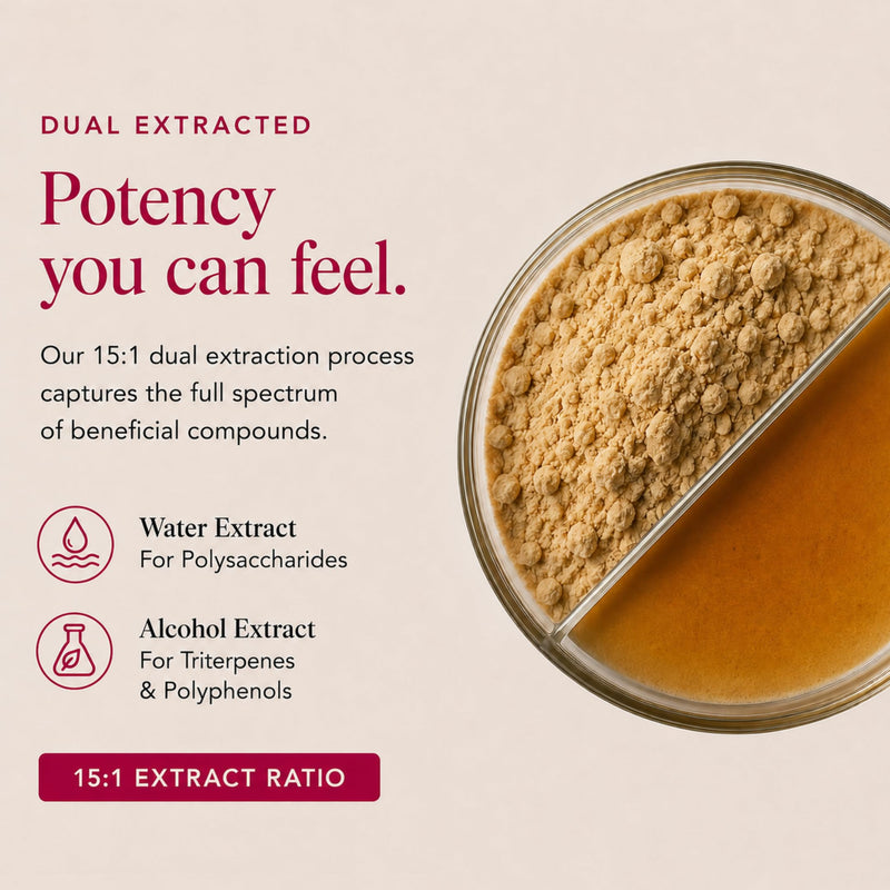 Ancient Extracts Tremella Mushroom Powder 15:1 Extract (60 servings) | For Skin Hydration & Collagen Support | 1 Serving Equals 15,000mg of Raw Mushroom | 30% Beta Glucans | Tested for Purity & Safety