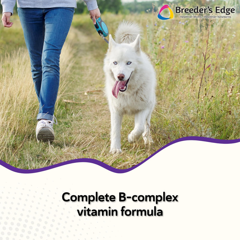 Breeder's Edge B Strong Liquid Vitamin B Supplement for Dogs & Cats, 8 oz | B Vitamins Support Reproductive Health, Normal Heat Cycles, Energy Production, Appetite, Heart Health, Stamina & Vitality 8 oz - Liquid