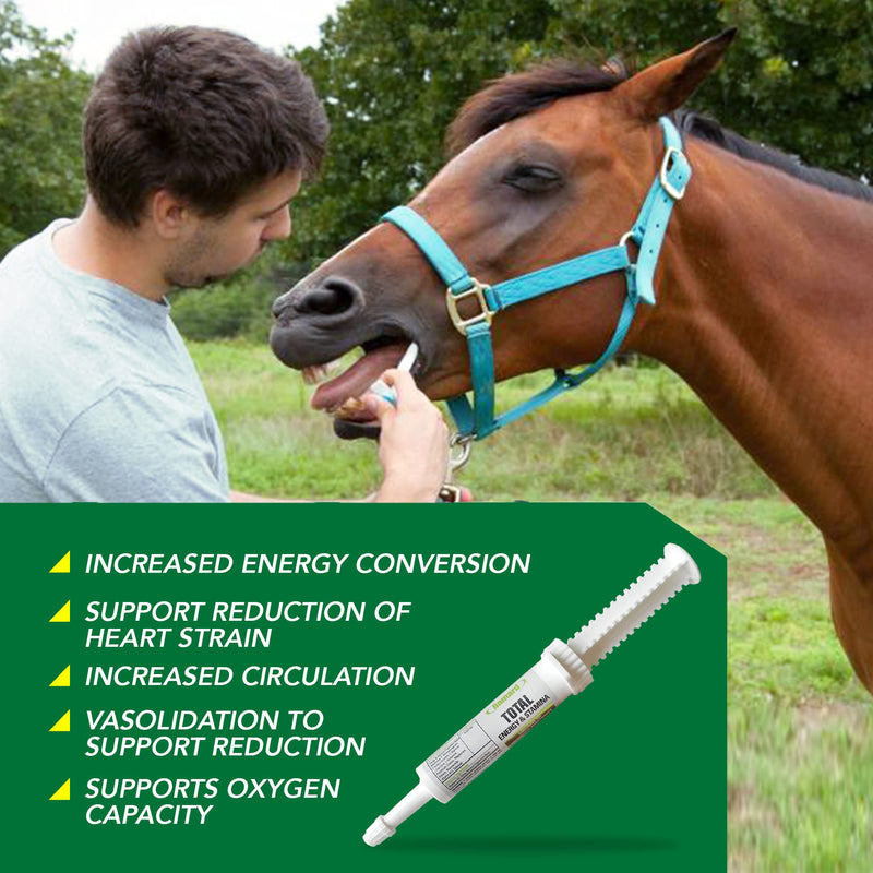 Total Energy and Stamina Support with B Vitamins & Amino Acids, Maximizes Oxygen Capacity, Peak Performance in Competition or Workouts, Powerful Vasodilator, Oral Gel, 15 cc Syringe, 1-Pack 1 Pack, 15 cc Syringe - PawsPlanet Australia