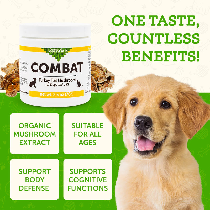 Animal Essentials Combat Turkey Tail Mushroom Supplement for Dogs & Cats - Critical Immune Defense, Supports Cognitive Function, Mushroom Powder Extract, Organic Turkey Tail - 2.5 Oz (Pack of 1) - PawsPlanet Australia