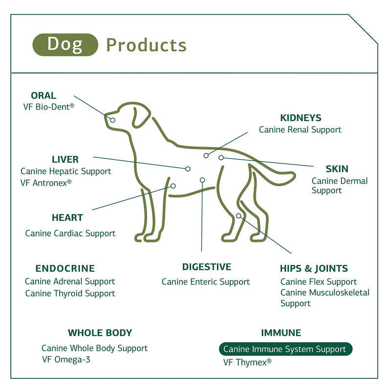 Standard Process Canine Immune System Support - Immune Support Supplement for Dogs - Powder Canine Supplement Aids Overall Health & Wellness - Immunity Support Supplement with Zinc & Kelp - 30 g 1.1 Oz (Pack of 1) - PawsPlanet Australia