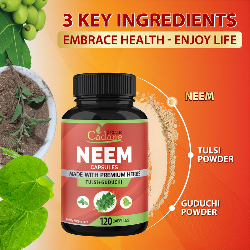 [Australia] - Organic Cadane Neem Leaf Supplements Capsules with Holy Basil Tulsi, Guduchi, 120 Vegetable Capsules | Supports Immune System | Fresh Powder Leaves Herbs 