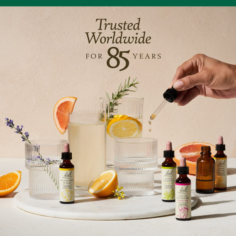 [Australia] - Bach Original Flower Remedies, Walnut for Adapting to Change (Non-Alcohol Formula), Natural Homeopathic Flower Essence, Holistic Wellness and Stress Relief, Vegan, 10mL Dropper, Clear Walnut (Non-Alcohol Formula) 