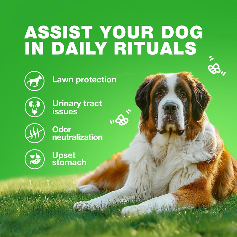 Grass Burn Spot Chews for Dogs - Dog Urine Neutralizer for Lawn - Grass Savers for Dog Urine - Dog Pee Lawn Spot Saver Caused by Dog Urine - Grass Treatment Rocks - Probiotics, Enzymes & Multivitamins Duck 180 count - PawsPlanet Australia