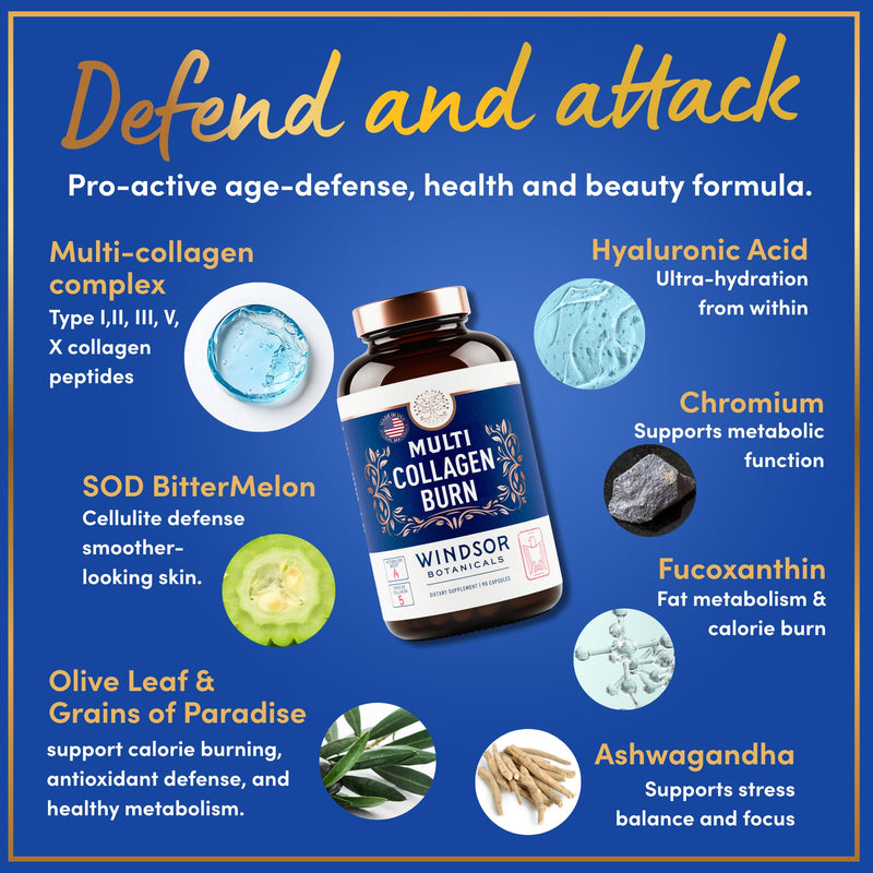 Thermogenic Multi Collagen Burn Capsules - Hydrolyzed Multi Collagen Complex Types I, II, III, V, X, Marine Collagen, Hyaluronic Acid - Beauty and Anti-Aging Supplement for Women and Men - 180 Pills 90 Count (Pack of 2)