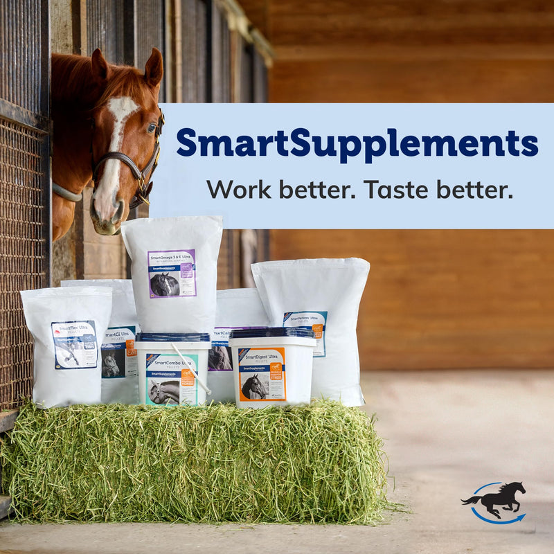 SmartPak SmartLytes Paste Horse Electrolyte Paste | Encourages Hydration, Replenishes Electrolytes, No Added Sugar, Apple Banana Flavor, Pack of 6 Tubes - PawsPlanet Australia