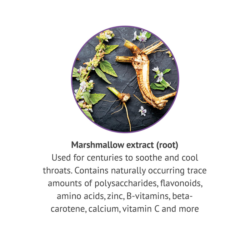[Australia] - Botanic Choice Marshmallow Root Liquid Extract - Alcohol Free, Gluten Free, Traditional Throat and Respiratory Support 1 fl. oz. 