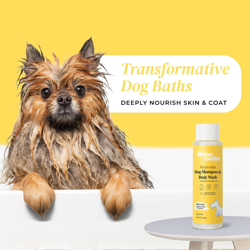 Heavenly Dog Shampoo & Body Wash - Anti-Itch - Dog Shampoos - pH Balanced Conditioning Dog Bath Blend with Collagen, Aloe, Coconut Milk, Vitamin E - Soothe Itchy Skin & Coat - 13.5oz - PawsPlanet Australia