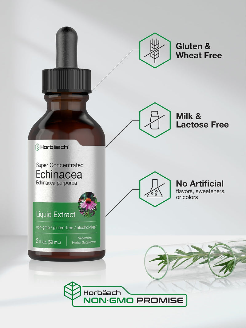 Horbäach Echinacea Drops Liquid Extract | 2 fl oz | Super Concentrated Tincture | Alcohol Free, Vegetarian, Non-GMO, and Gluten Free