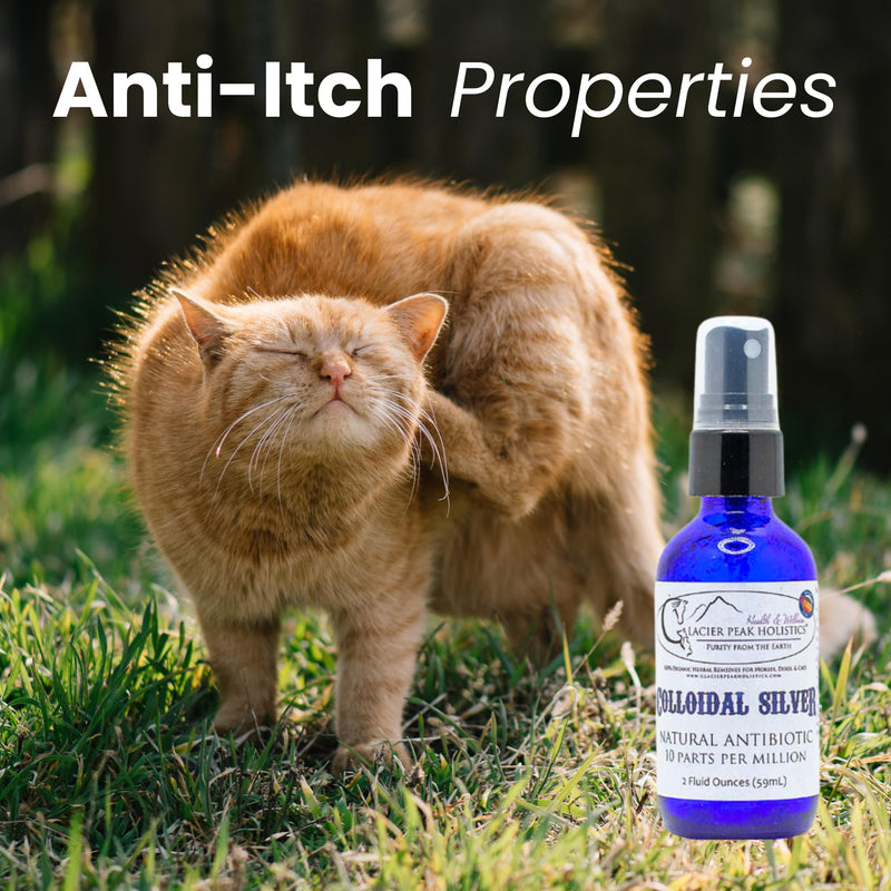 Glacier Peak Holistics Colloidal Silver - Natural Antibiotic Spray for Dogs & Cats, Holistic Remedy for Internal & External Use, Anti-Itch, Wound Healing, and Skin Irritation in Pets - 2oz - PawsPlanet Australia