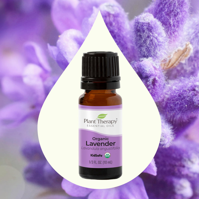 [Australia] - Plant Therapy Organic Lavender Essential Oil 100% Pure, USDA Certified Organic, Undiluted, Natural Aromatherapy, Therapeutic Grade 10 mL (1/3 oz) 0.33 Fl Oz (Pack of 1) 
