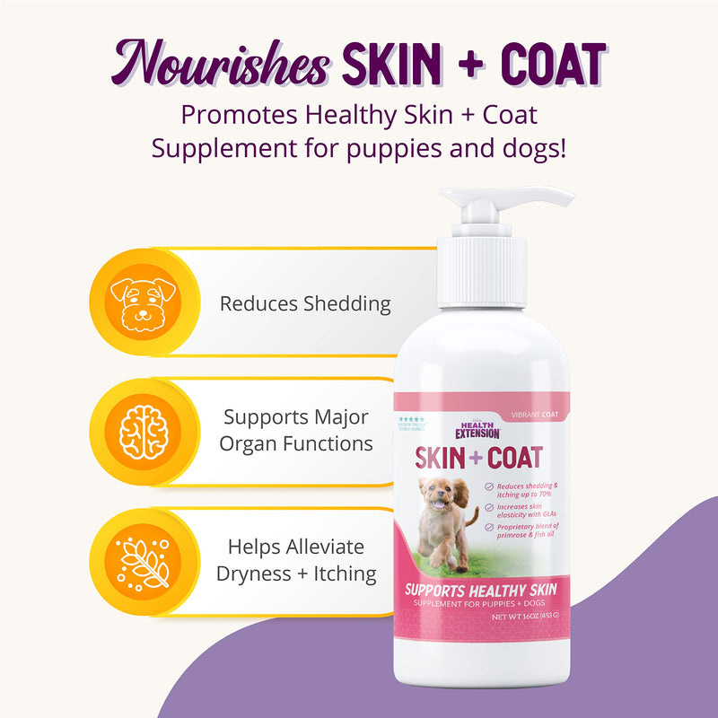 Health Extension Skin & Coat Supplement for Dogs & Puppies, 16oz - Omega 3 & 6 Rich Formula for Healthy Skin & Shiny Coat, Reduces Shedding & Itching - PawsPlanet Australia