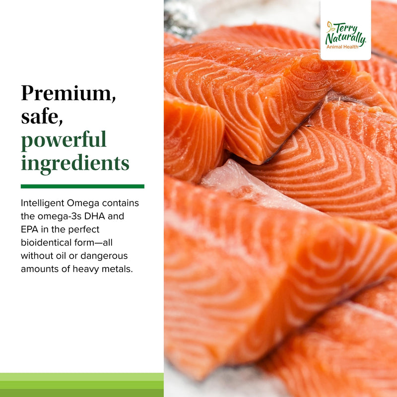 Terry Naturally Animal Health Intelligent Omega - 60 Soft Chews - Omega 3 from Salmon for Dogs - Promotes Brain & Eye Health - 60 Servings - PawsPlanet Australia