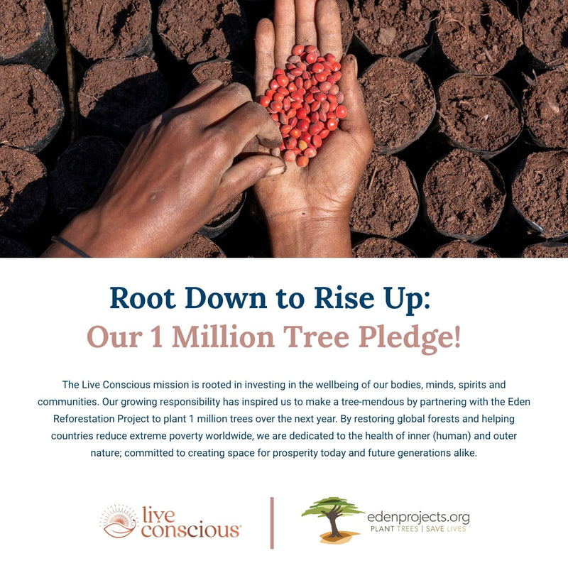 [Australia] - Live Conscious Beyond Greens Concentrated Superfood Powder - Matcha Flavor w/Chlorella, Echinacea, Probiotics for Immune Support & Energy - 30 Servings (2-Pack) 4 Ounce (Pack of 2) 