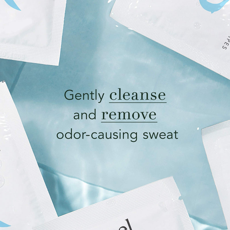 [Australia] - Rael Body Wipes, Organic Cotton Wipes for Women - Unscented Body Wipes, Individually Wrapped, All Skin Types, Vegan, Cruelty Free (10 Count, Pack of 2) 10 Count (Pack of 2) 