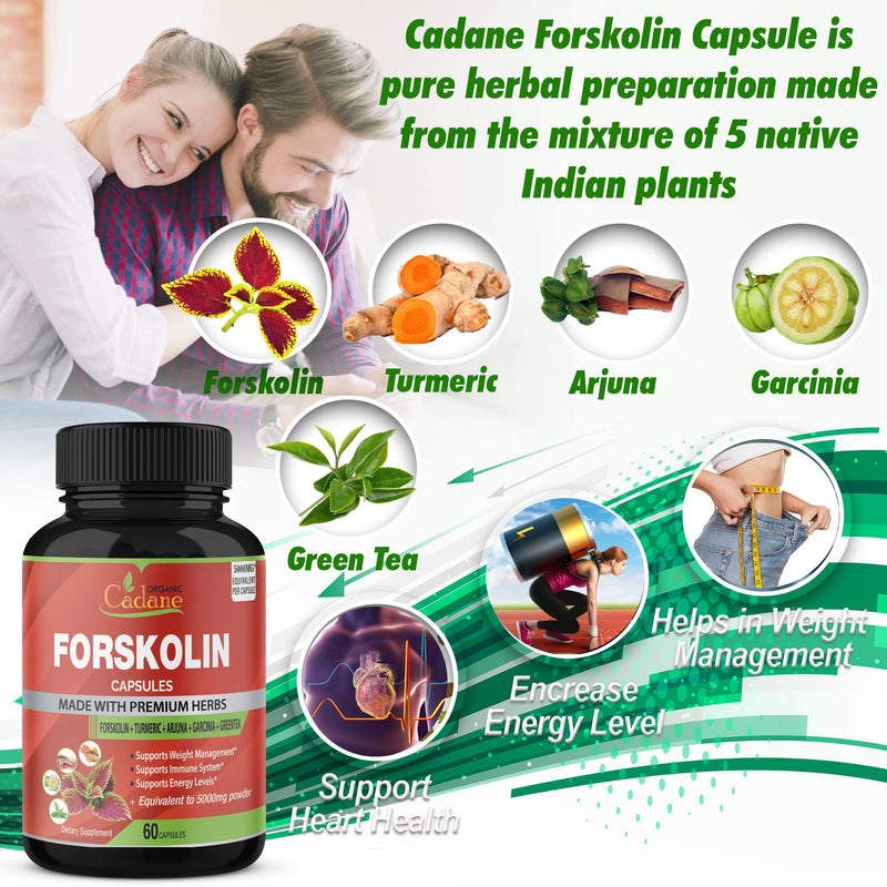 [Australia] - 2 Packs Organic Forskolin Supplements Capsules 5000mg with Turmeric, Arjuna, Garcinia Cambogia, Green Tea - Maximum Strength Coleus Forskohlii Extract - Support Energy Production & Immune System 