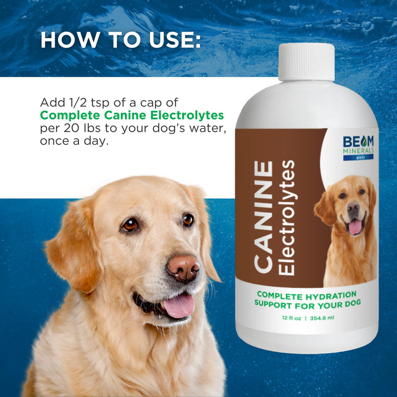 Beam Minerals Complete Canine Electrolytes | Full-Spectrum Electrolytes for Dogs | 12 Fl Oz - PawsPlanet Australia