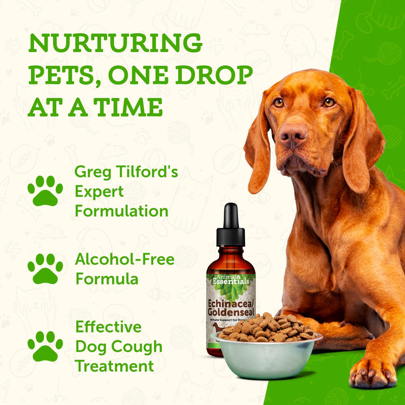 [Australia] - Animal Essentials Echinacea Goldenseal - Herbal Formula for Dogs and Cats, Immune Support, 100% Organic Herbs, Veterinarian Recommended - 1 Fl Oz 