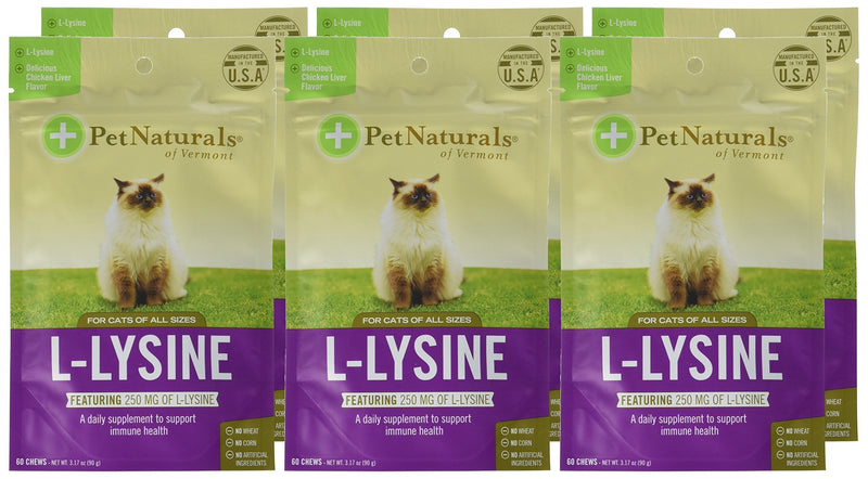 Pet Naturals, L-Lysine, For Cats, Chicken Liver, 250 mg, 60 Chews, 1 x 90g
