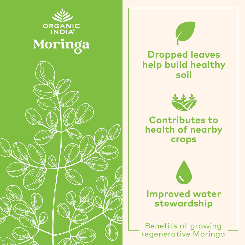 ORGANIC INDIA Moringa Herbal Supplement - Green Superfood, Nutrient Dense, Pure Plant Protein, Vitamin A, E, K, Iron, Calcium, Fiber, Vegan, Gluten-Free, USDA Certified Organic - 90 Capsules 90 Count (Pack of 1)