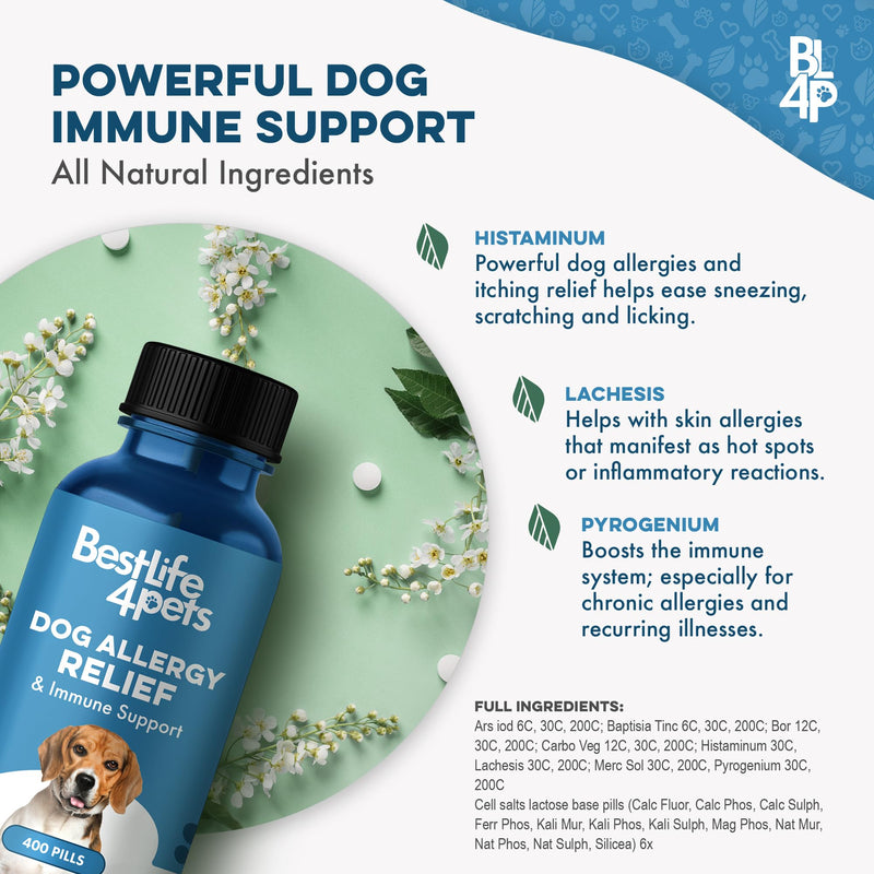 Dog Allergy Relief & Immune Support, Natural Holistic Itch Relief for Dogs, Immune System Guard and Allergy Support, Including Seasonal Allergies, Sneezing, Runny Nose and Itching, 400 Small Pills - PawsPlanet Australia