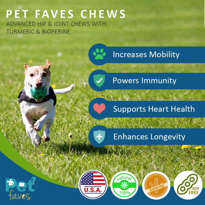 Natural Dog Hip & Joint Supplement for Dogs Arthritis Pain Relief. Turmeric Curcumin with Black Pepper for Anti Inflammatory. Tumeric MSM Glucosamine Chondroitin for Dogs Healthy Joints - 90 Chews - PawsPlanet Australia