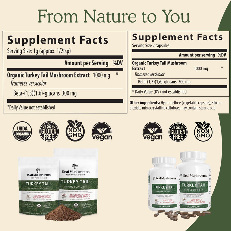 [Australia] - Real Mushrooms Turkey Tail Capsules ‚Äì Organic Mushroom Extract for Wellness & Daily Rhythm ‚Äì Vegan, Non-GMO, No Fillers Turkey Tail Extract ‚Äì 90 Count Mushroom Supplement Capsule 90 Count (Pack of 1) 