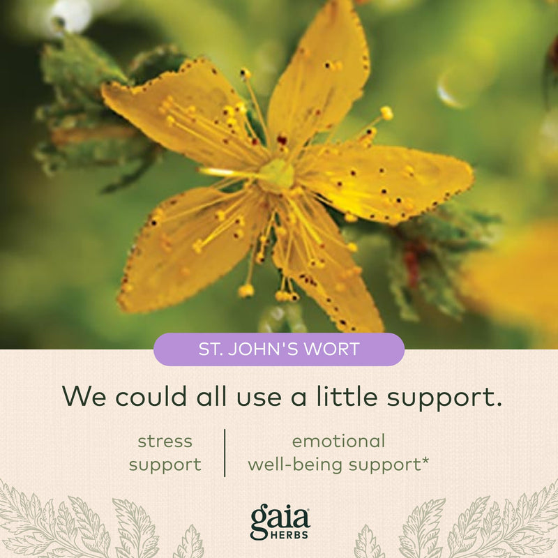 [Australia] - Gaia Herbs St. John's Wort - Natural Stress Support Supplement - with St. John's Wort - 60 Vegan Capsules (20-Day Supply) 60 Count (Pack of 1) Retail 