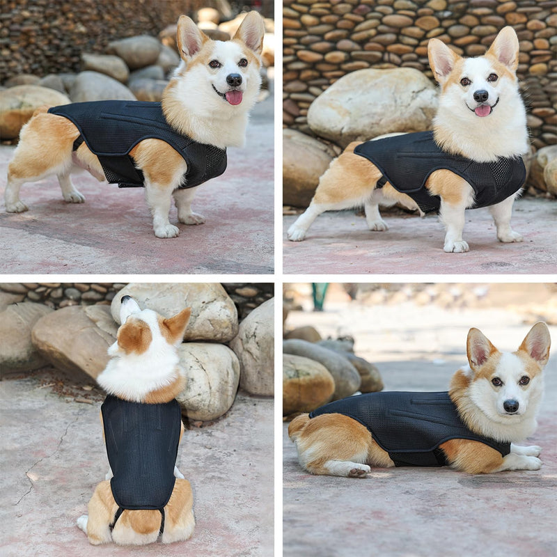 IVDD Back Brace for Dogs, Flexible Pet Dachshund Back Supporting Vest, Dog Back Bracer for Small Pet with Arthritis, Back Pain,Herniated Disc,Spinal Surgical Recovery (M) Medium - PawsPlanet Australia