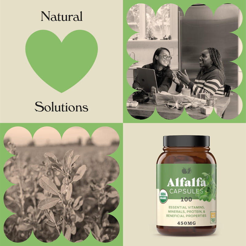 [Australia] - Complete Natural Products Pure Alfalfa Leaf (Medicago Sativa) - 100 Capsules - 630mg of Pure Dried Organic Alfalfa Leaf Powder in Veggie Capsules 