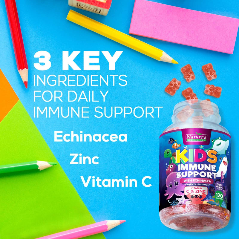 Kids Immune Support Supplement Gummies - Daily Childrens Vitamins C, Zinc & Echinacea - Gummy for Kids Immune Support, Ages 4 and Up, Natural Berry Flavor, Non-GMO, Gluten-Free & Vegan - 120 Gummies 120 Count (Pack of 1)