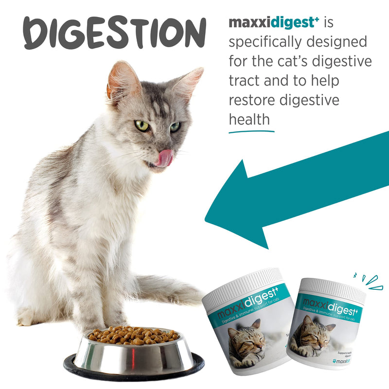 maxxidigest+ Probiotic & Prebiotic Powder Supplement - Digestive & Immune Support for Cats, 7oz 7 oz - PawsPlanet Australia