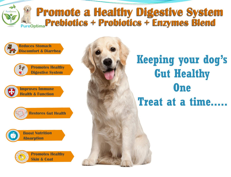 Probiotics Chews for Dogs, Digestive Enzymes + Prebiotics Improves Digestion, Diarrhea, Constipation, Gas, Bad Breath, Leaky Gut, Allergy Immunity Daily Supplement 120 Counts - PawsPlanet Australia