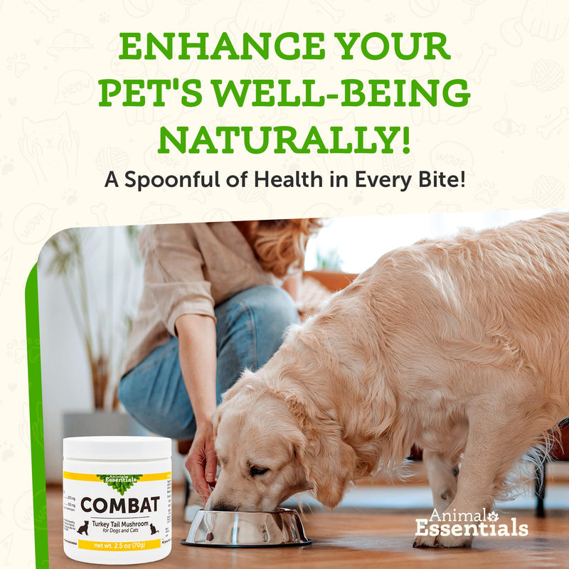 Animal Essentials Combat Turkey Tail Mushroom Supplement for Dogs & Cats - Critical Immune Defense, Supports Cognitive Function, Mushroom Powder Extract, Organic Turkey Tail - 2.5 Oz (Pack of 1) - PawsPlanet Australia