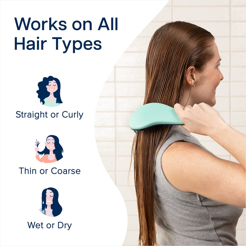 Crave Naturals Glide Thru Detangler Brush Pack of 2 - Curly Hair Brush for Women and Kids - Wet and Dry Comb for Adults - Soft Flexible Bristles for Gentle Use - Turquoise and Pink 2 Pack (Regular) Turquoise & Pink