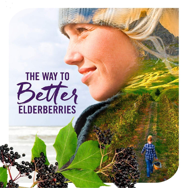 [Australia] - Nature's Way Sambucus Elderberry Immune Gummies for Kids, Immune Support Gummies*, with Black Elderberry Extract, Vitamin C and Zinc, 60 Gummies (Packaging May Vary) 