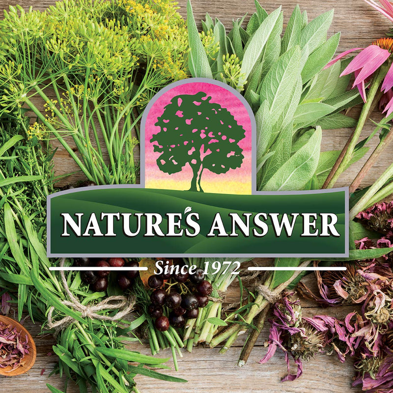 [Australia] - Nature's Answer Alcohol-Free Marshmallow Root Extract, 1-Fluid Ounce | Digestive Support 