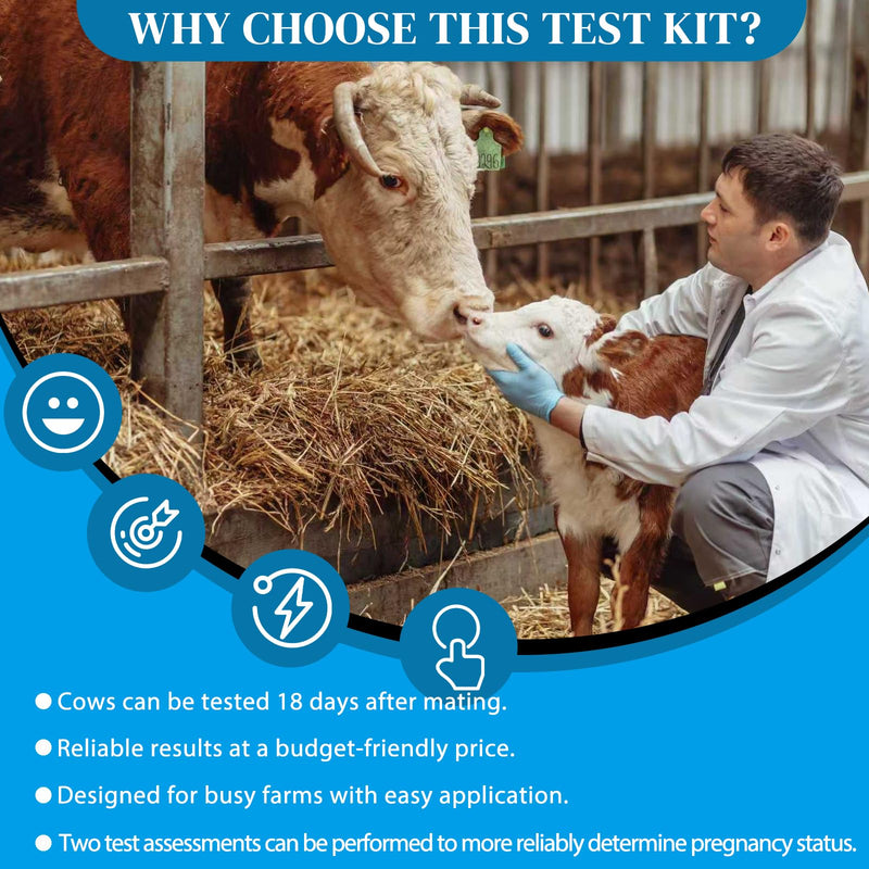 Small Farm Bovine Pregnancy Test Kit (2-Pack) - Urine-Based Early Detection, Rapid 5-10 Min Results, Easy Operation for Cow Herd Breeding Management