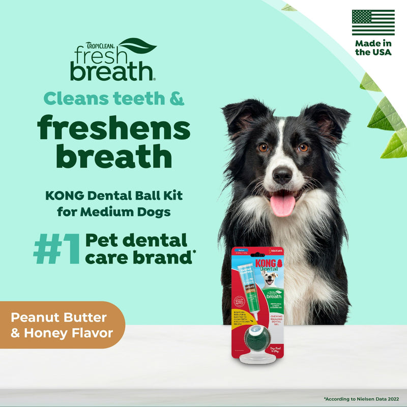 [Australia] - TropiClean Fresh Breath - Kong Dental Ball for Medium Dogs - Dog Teeth Cleaning Kit - Removes Plaque - Peanut Butter & Honey Dog Toothpaste, 1oz 