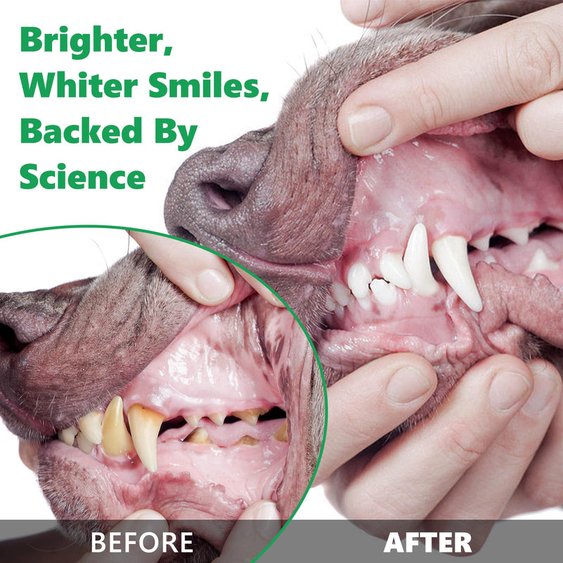 Dog Teeth Cleaning Powder,80g Dogs Dental Powder for Dog Teeth Cleaning,Dog Plaque and Tartar Remover,Dog Breath Freshener-Dental Care for All Dogs - PawsPlanet Australia