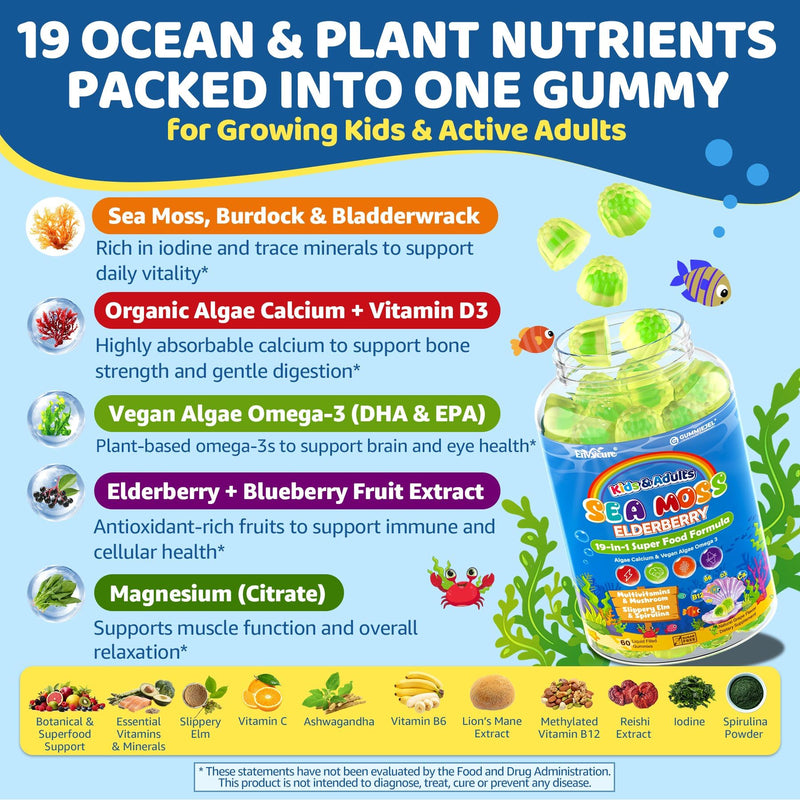 Sea Moss + Elderberry Gummies for Kids & Adults, 19-IN-1 Super Food with Spirulina, Algae Omega 3, Algae Calcium, Ashwagandha, Mushroom, Vitamins D3, C for Immune, Gut, Bone, Energy, Brain,Vegan 60Cts 60 Count (Pack of 1)