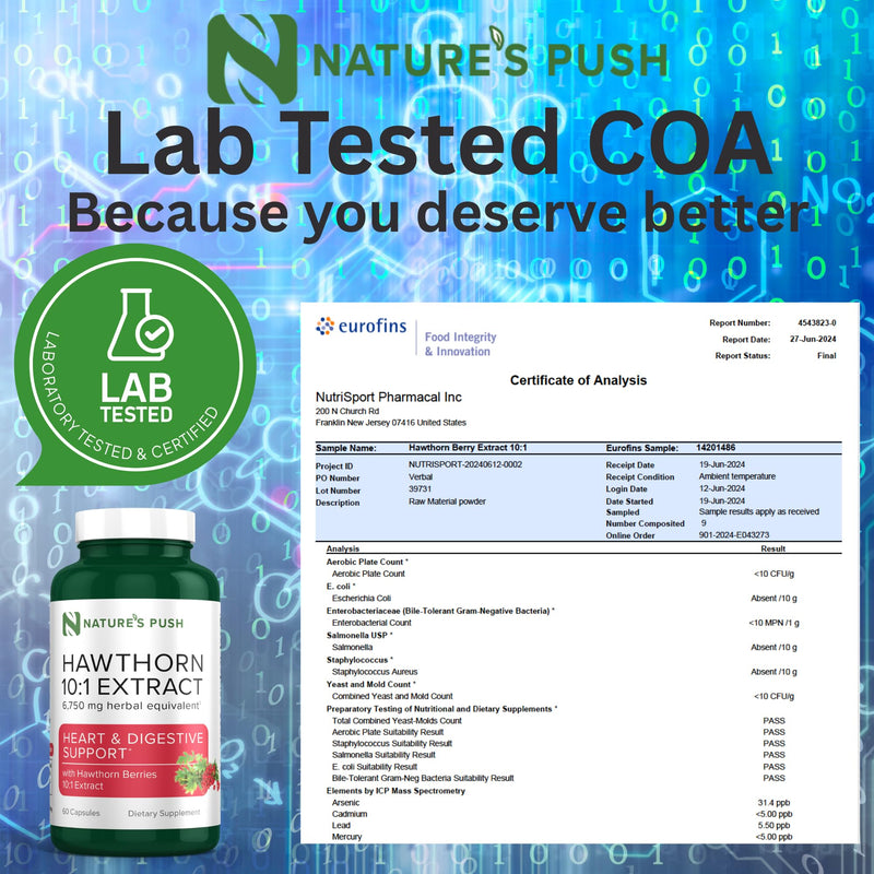 [Australia] - Super Potent Hawthorn Berry 10:1 Extract Capsules for Digestion Heart Health and Glycemic support - Extra Strength Hawthorn Berry Capsules - Non-GMO Gluten Free Vegan GMP USA 2 month supply 