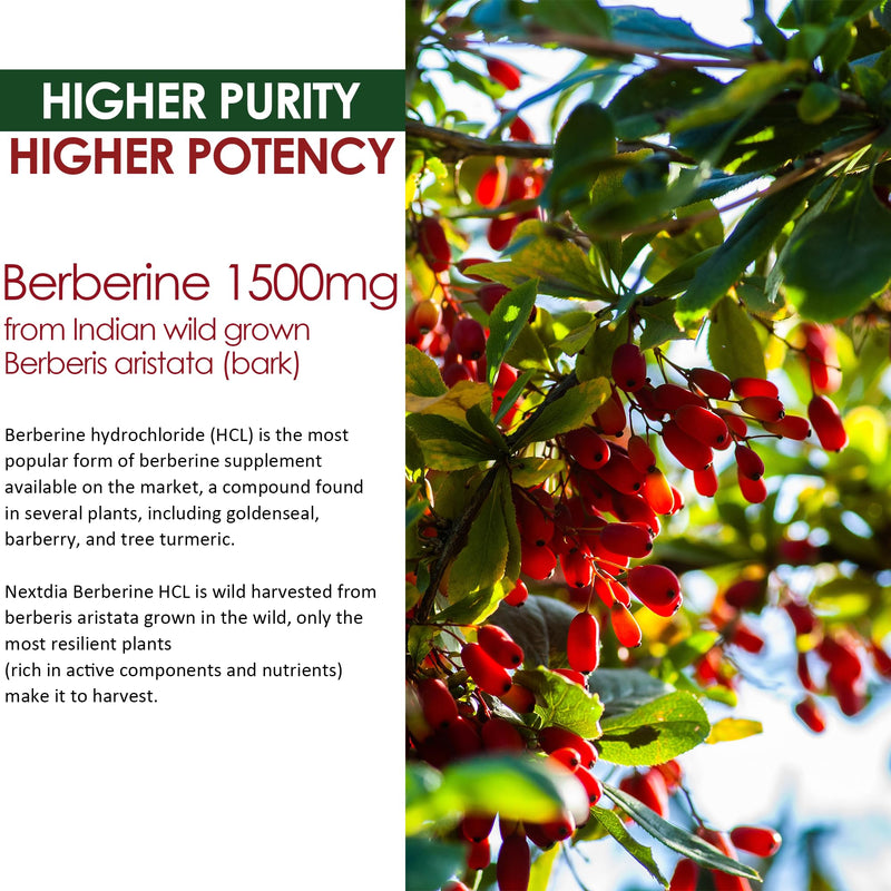 [Australia] - Berberine Supplement 1500mg, Sugar Free Berberine with Ceylon Cinnamon Gummies w/Chromium, Turmeric, Milk Thistle for Naturally Metabolism Balanced, Berberine HCl from Indian Barberry Extract, 60 Cts 60 Count (Pack of 1) 