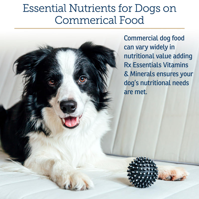 Rx Vitamins Essentials for Dogs - Daily Vitamins & Minerals - 8 oz | with Blue Spirulina, Kelp Powder, & Milk Thistle for Dogs - Complete Canine Vitamins and Essential Minerals Powder New Label