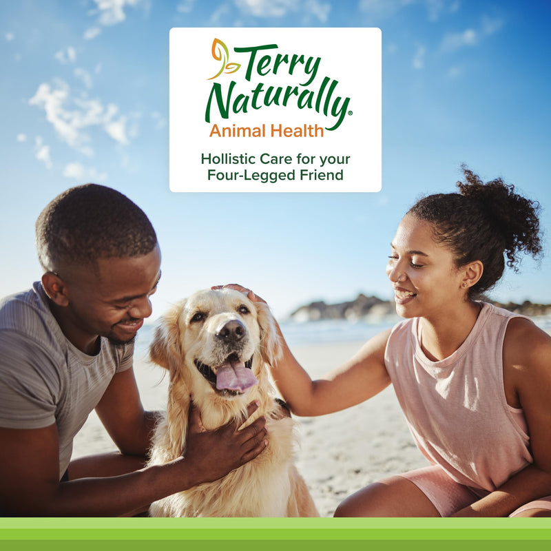 Terry Naturally Animal Health Intelligent Omega - 60 Soft Chews - Omega 3 from Salmon for Dogs - Promotes Brain & Eye Health - 60 Servings - PawsPlanet Australia