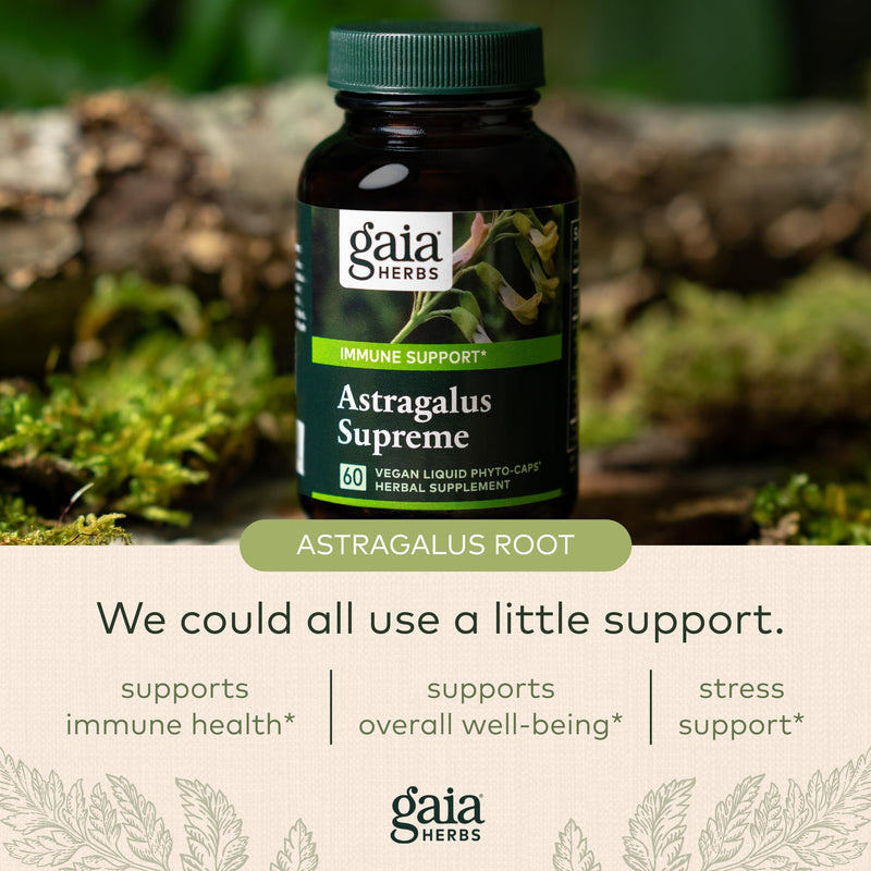 [Australia] - Gaia Herbs Astragalus Supreme - Immune and Antioxidant Support Herbal Supplement - with Astragalus Root, Schisandra Berry, and Ligustrum - 120 Vegan Liquid Phyto-Capsules (30-Day Supply) 120 Count (Pack of 1) Standard Packaging 