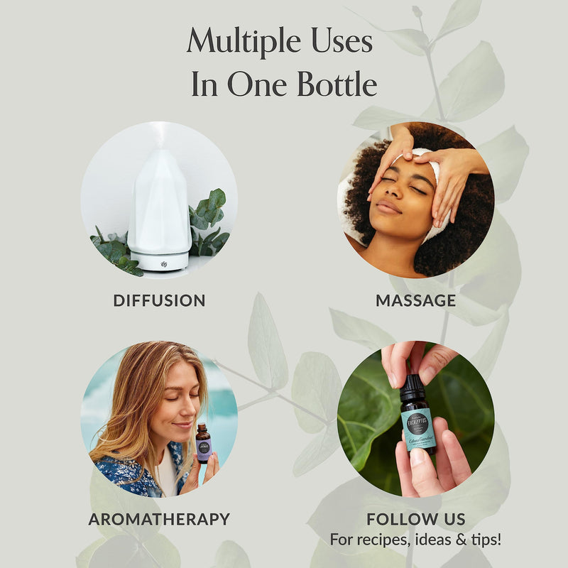 Edens Garden Fighting Five Essential Oil Blend- 100% Pure Premium Grade, Undiluted, Natural, Therapeutic, Aromatherapy, The Best for Candle, Laundry, Humidifiers 30 ml (1 fl oz) 1 Fl Oz (Pack of 1)