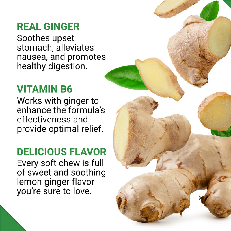 Force Factor Gentle Ginger Chews for Nausea Relief | Motion Sickness & Morning Sickness, Vitamin B6 for Digestive Support, Ginger Supplement, Honey-Lemon Ginger Flavor, 60 Chews