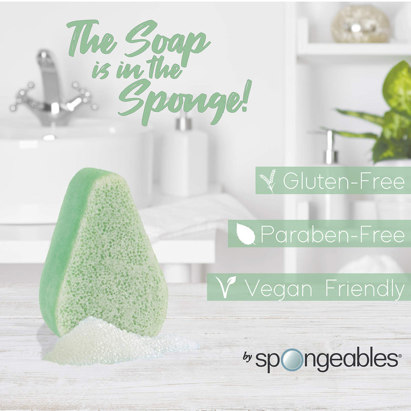 [Australia] - Spongeables Anti Cellulite Body Wash in a 20+ Wash Sponge, Fresh Aloe, 1 Count 1 Count (Pack of 1) 